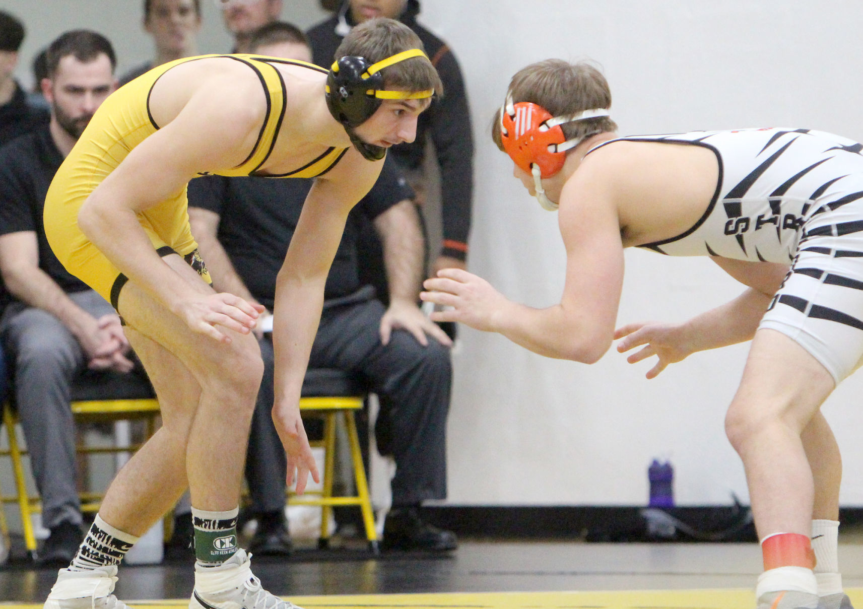 Division 3 Wrestling Regional at Cadott 2-15-20